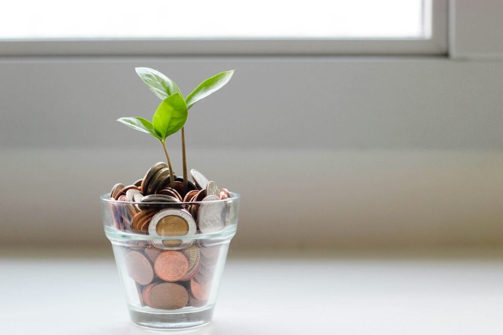 A green plant growing out of a pot of coins