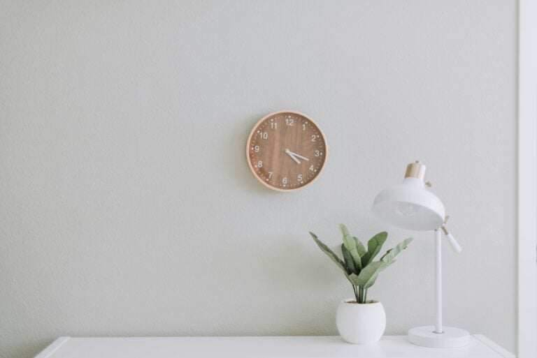 A clean office with a plant, lamp and a clock