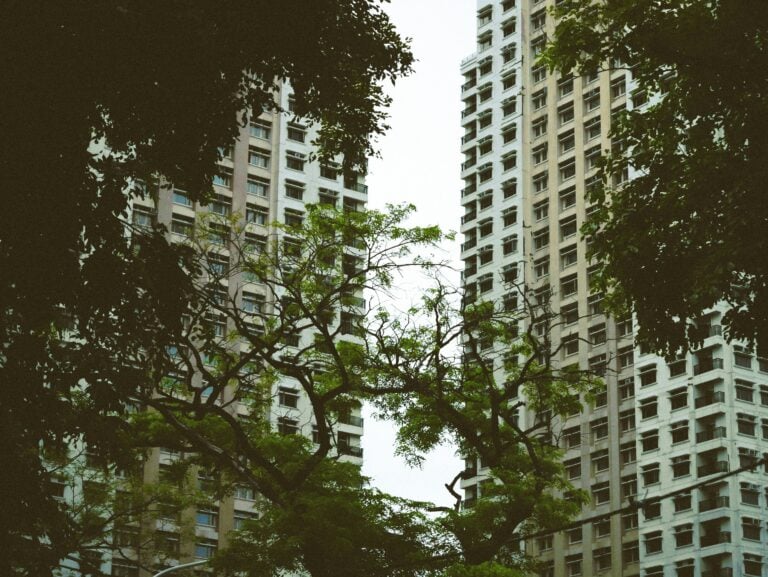 A building through trees in a park