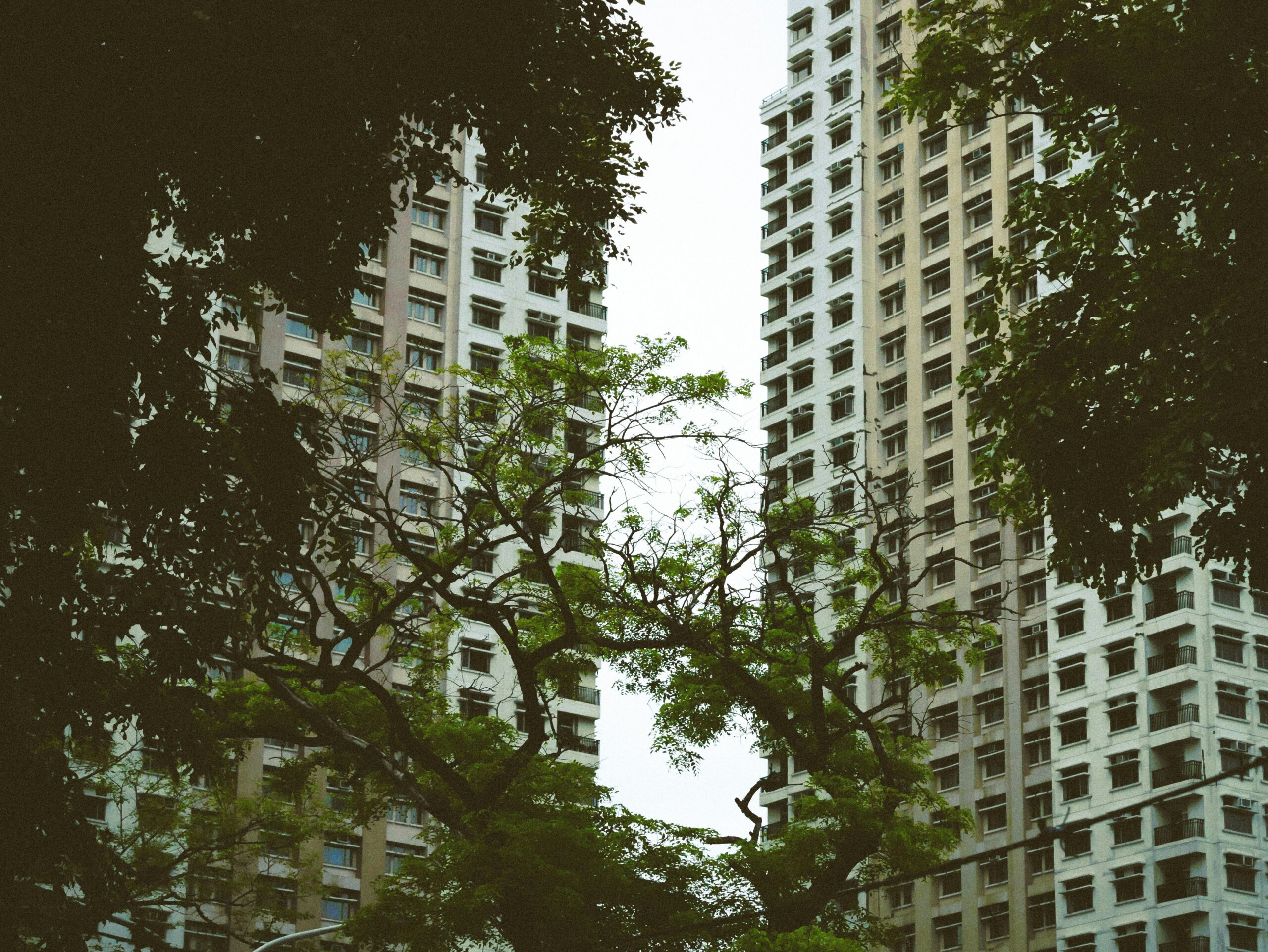 Beginner-Friendly Prop Firms: What New Traders Should Look For