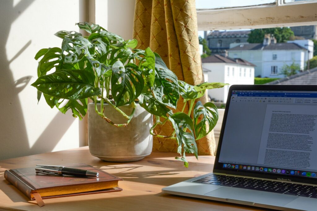 A green house plant on a desk with a laptop and notebook
